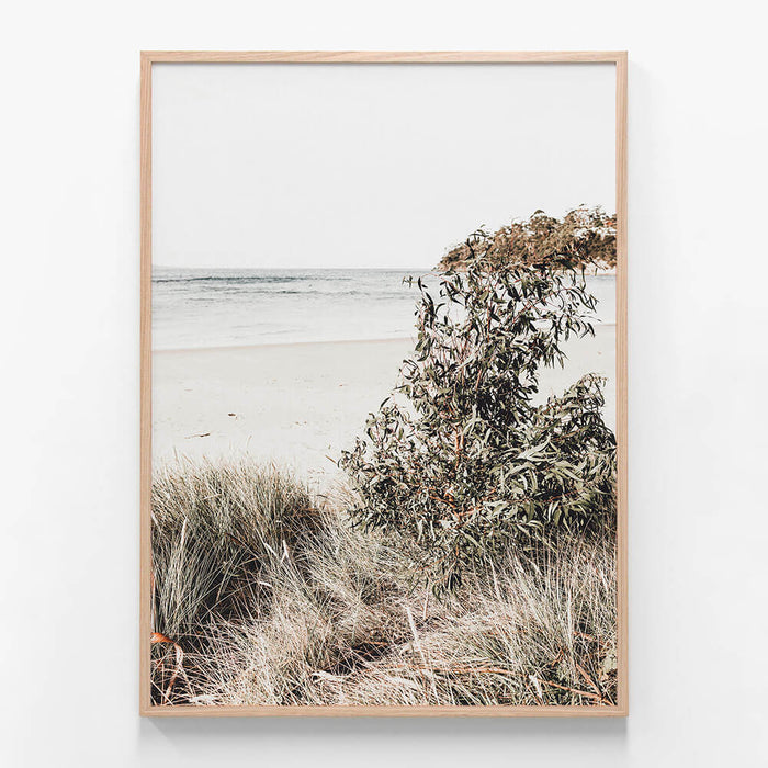 Serene Coast