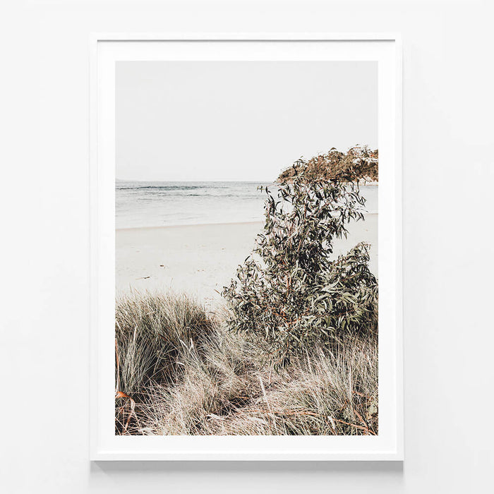 Serene Coast
