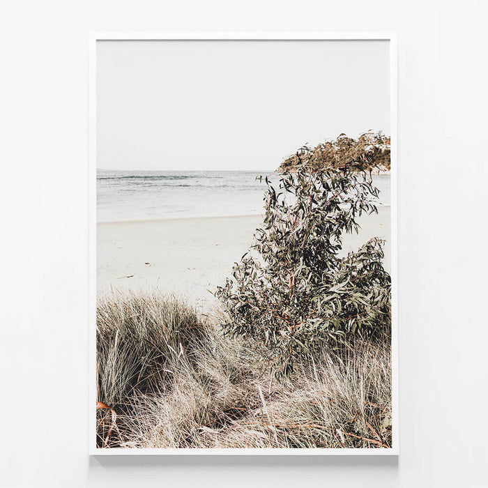 Serene Coast