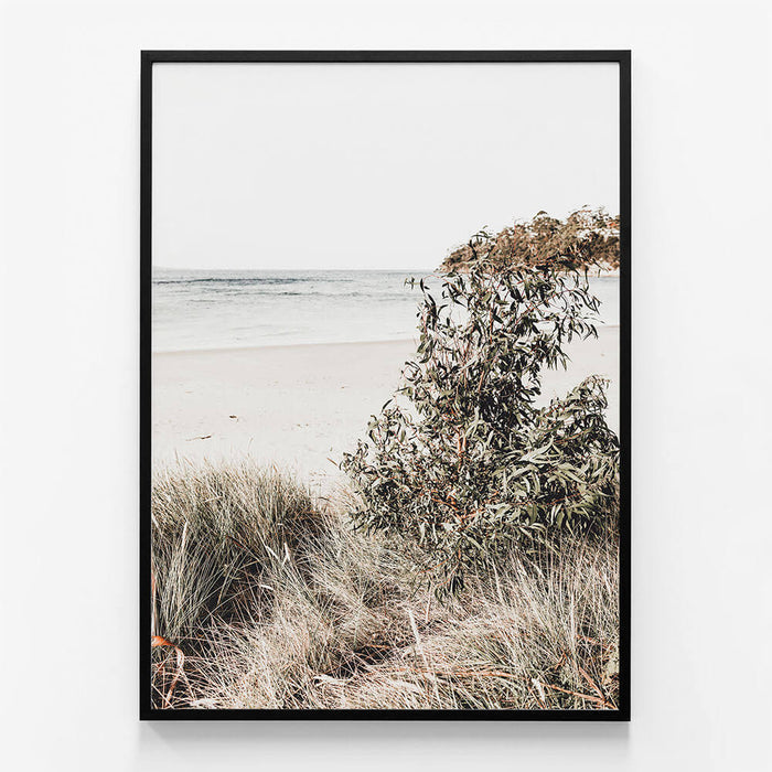 Serene Coast