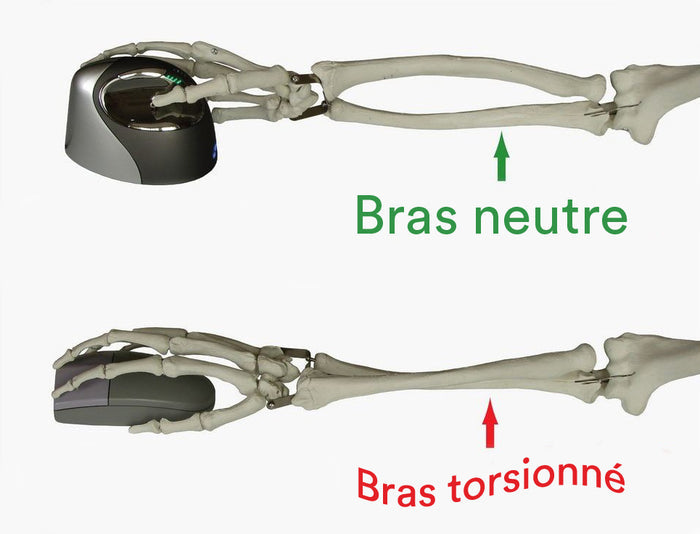 Souris verticale sans fil IntekView Droitière