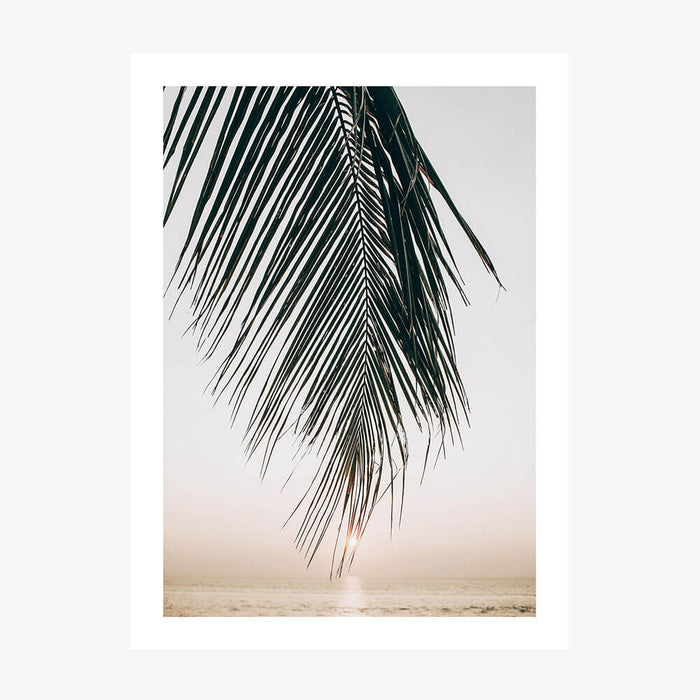 Sunset Palm wall art print