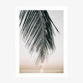 Sunset Palm wall art print