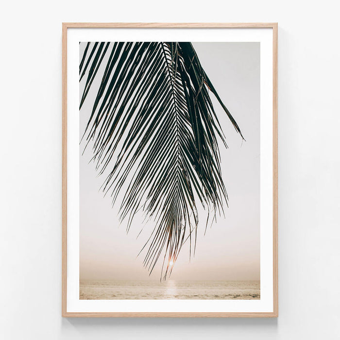 Sunset Palm wall art print in oak frame