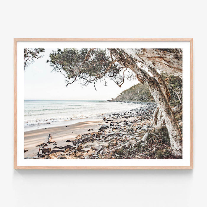 A framed photo wall art print featuring a gum tree on the beach in Tee Tree Bay Beach Noosa