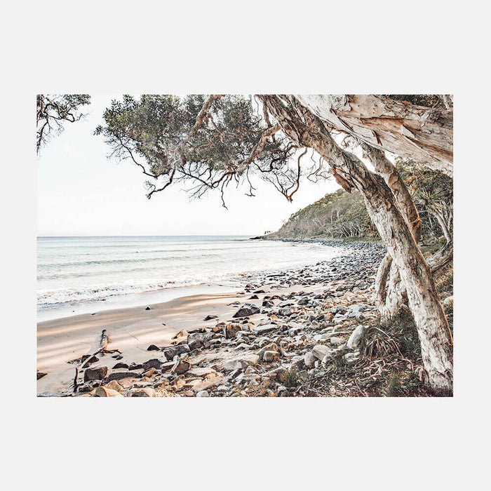 Tea Tree Bay Beach