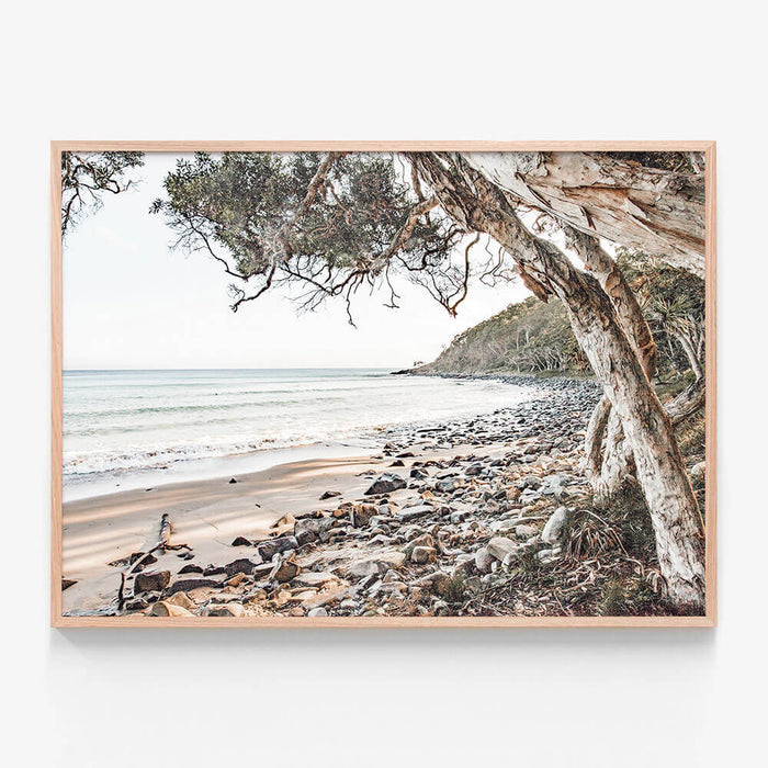 Tea Tree Bay Beach