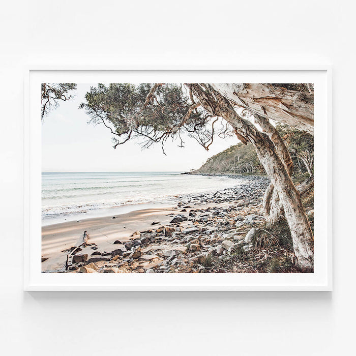 Tea Tree Bay Beach