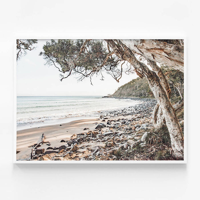 Tea Tree Bay Beach