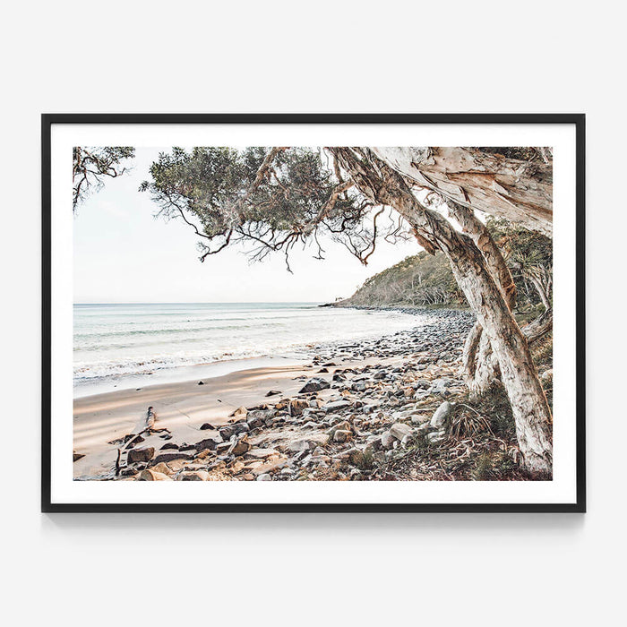 Tea Tree Bay Beach