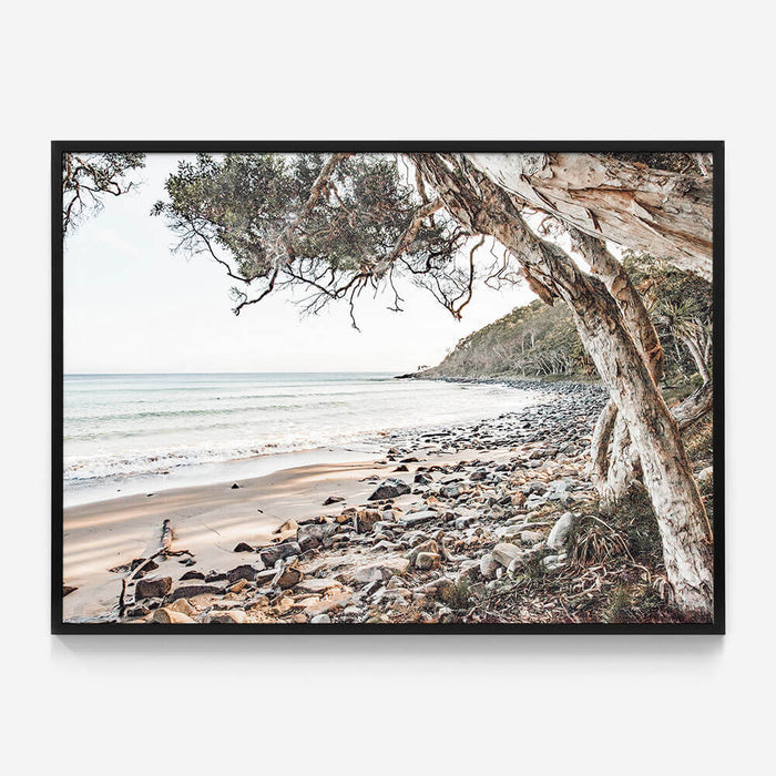 Tea Tree Bay Beach
