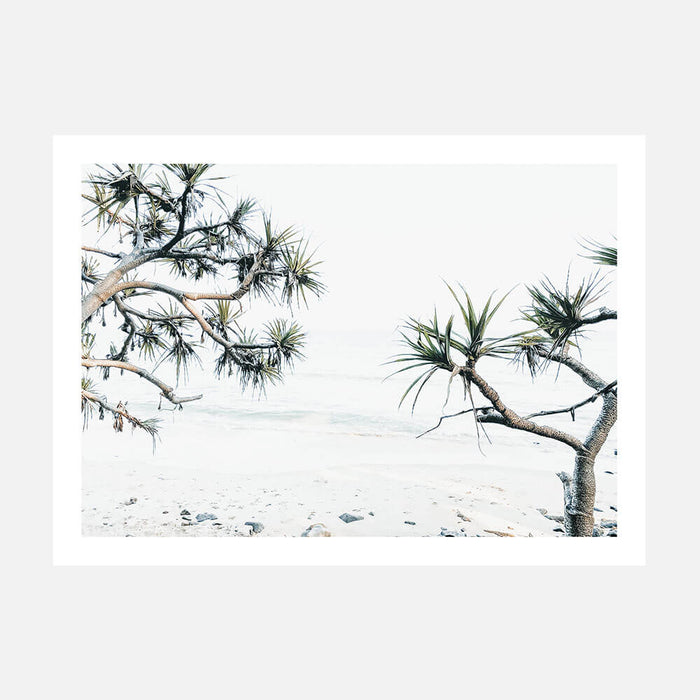 Tea Tree Bay wall art print