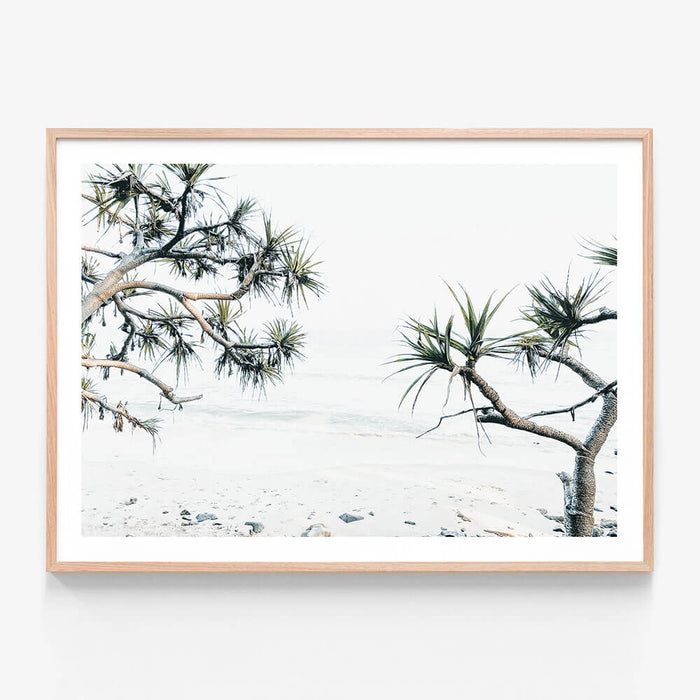 Tea Tree Bay wall art print in oak frame