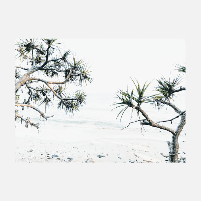 Tea Tree Bay