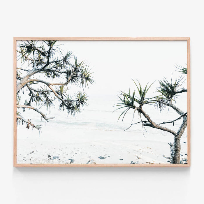 Tea Tree Bay
