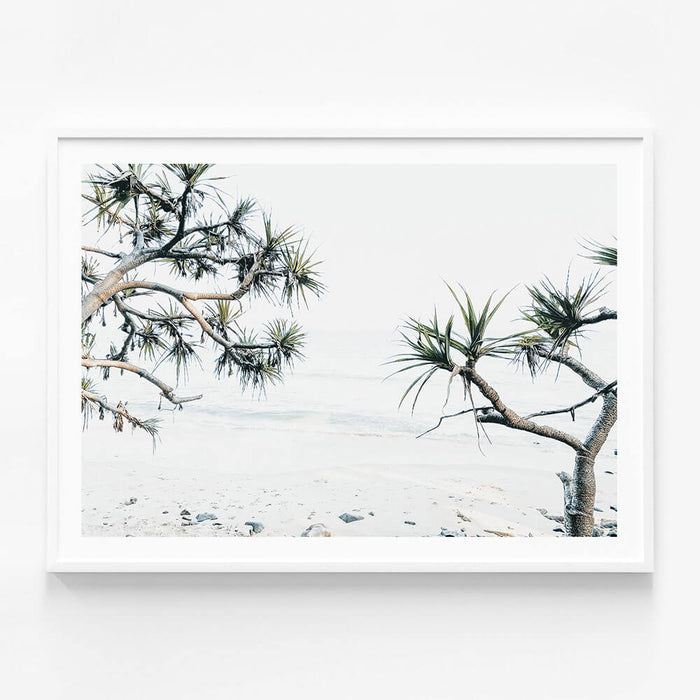 Tea Tree Bay