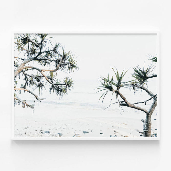 Tea Tree Bay