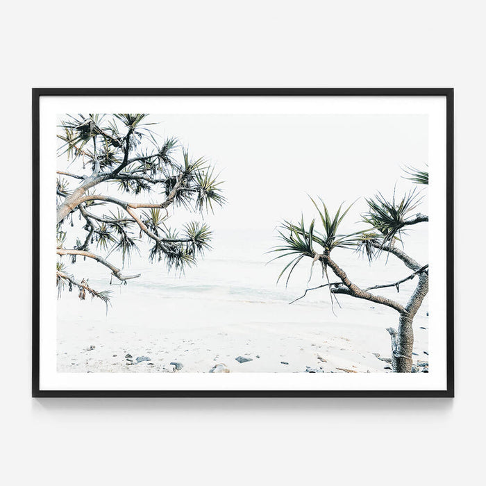 Tea Tree Bay