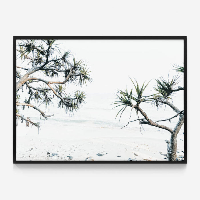 Tea Tree Bay