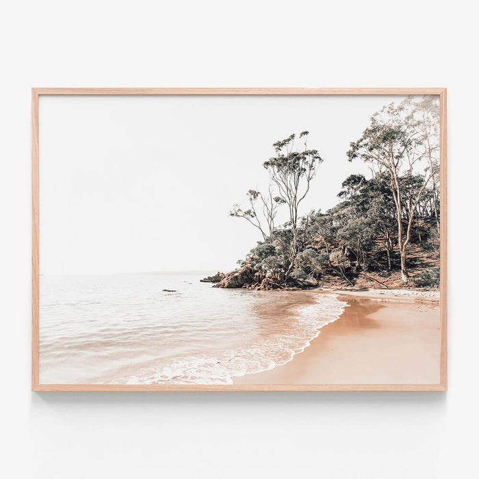 Tranquil Cove