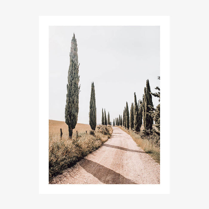 Tuscan Pines wall art print