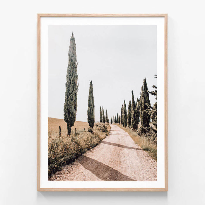 Tuscan Pines wall art print in oak frame