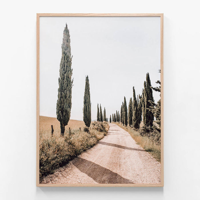 Tuscan Pines