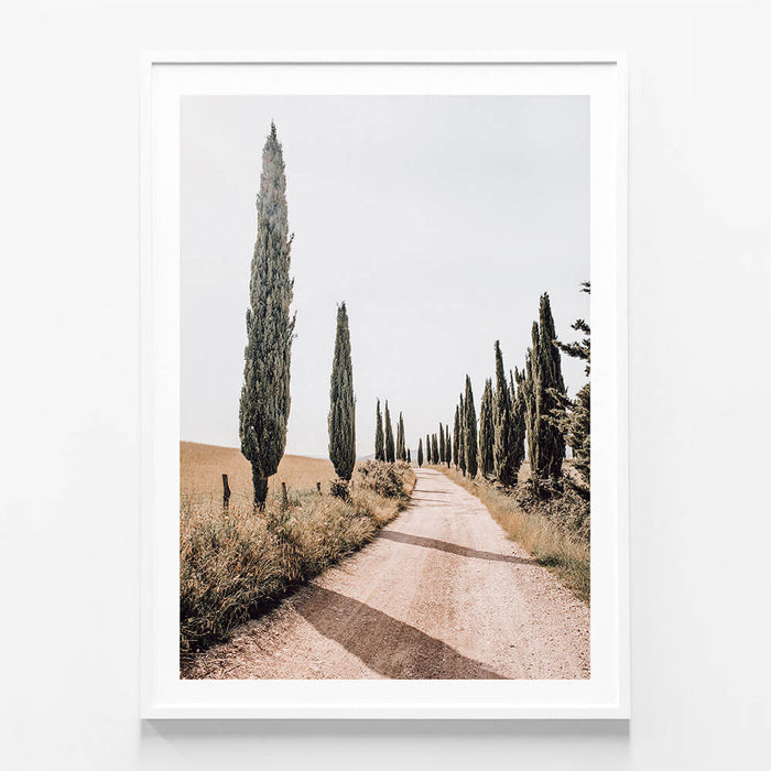 Tuscan Pines