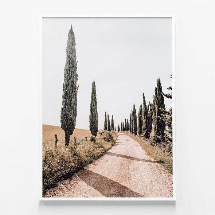 Tuscan Pines