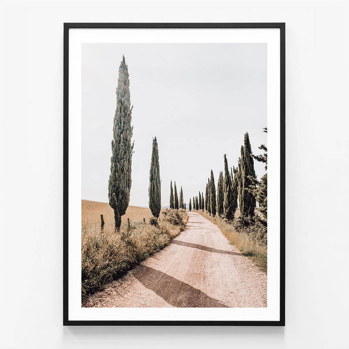 Tuscan Pines