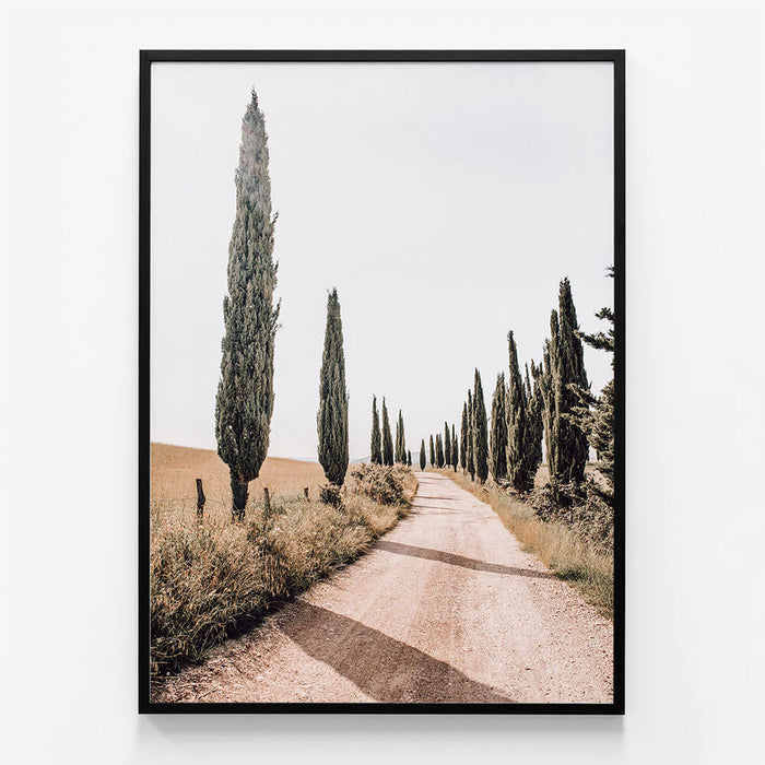Tuscan Pines