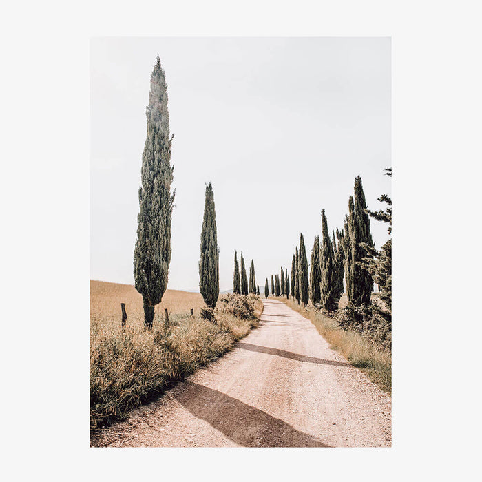 A3 - 29.7 x 42 / Unframed / No