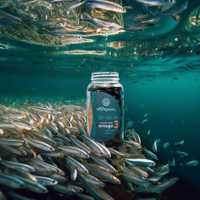 Wild Atlantic Health Ocean Pure Omega 3