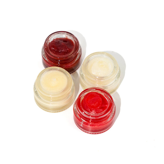 Zerra & Co. The Jelly - Mini | Naturally Flavored Vegan Lip Protectant